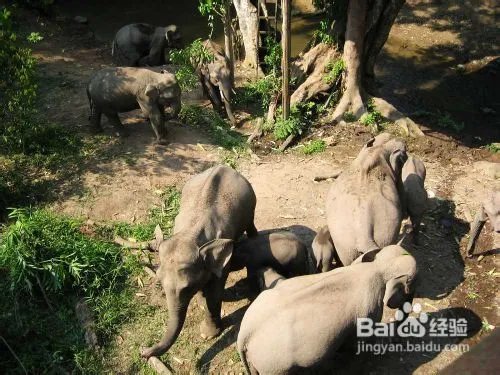 西双版纳著名的景点