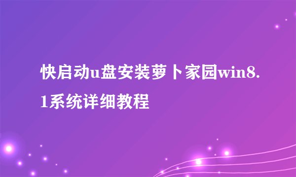 快启动u盘安装萝卜家园win8.1系统详细教程