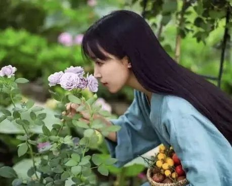 李子柒陷入资本困局，知情人透露现状很惨，事情的真相究竟是什么？