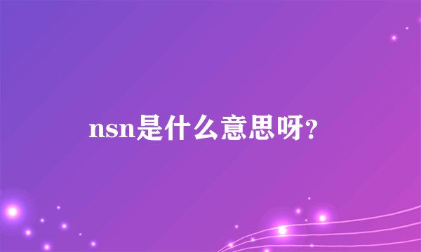nsn是什么意思呀？