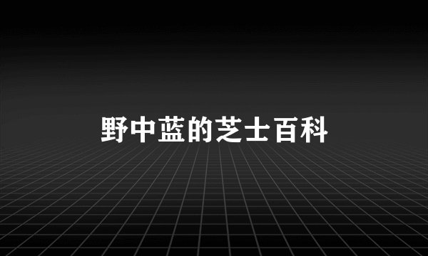 野中蓝的芝士百科