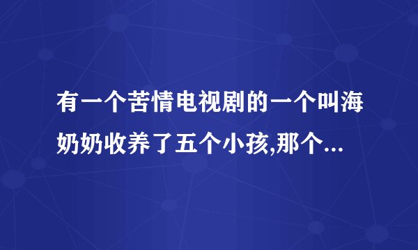 有一个苦情电视剧的一个叫海奶奶收养了五个小孩,那个电视剧叫什么名字