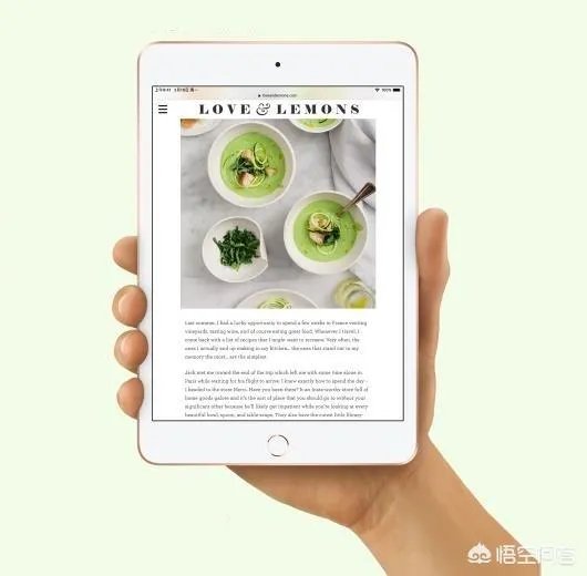 2018新款ipad跟mini5哪个值得入手