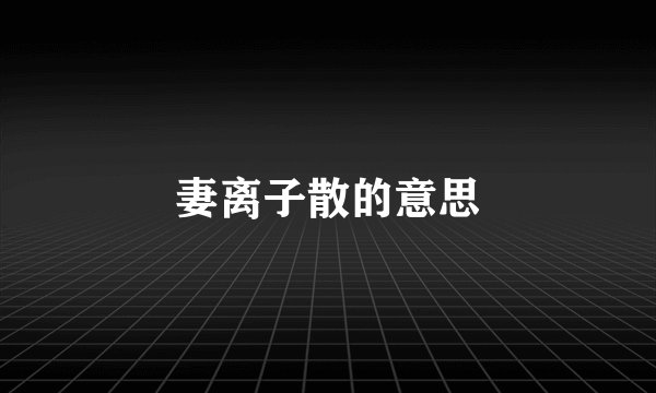 妻离子散的意思