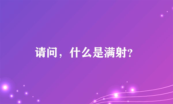 请问，什么是满射？