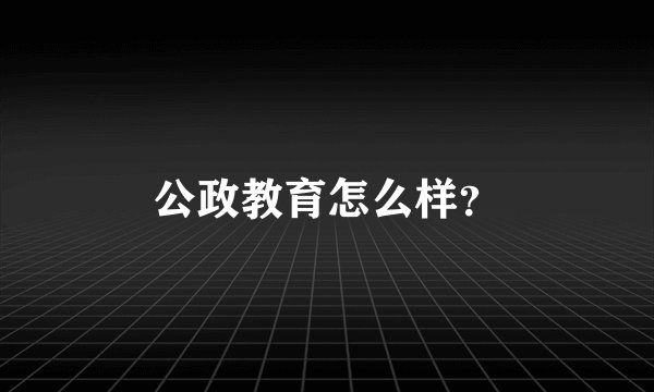 公政教育怎么样？