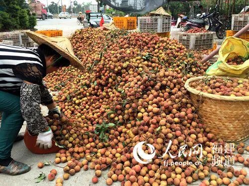 一些农产品滞销的本质是什么?