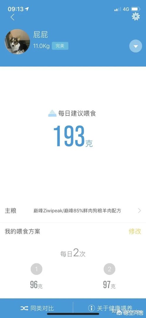 养一只柯基一年大概要多少钱？