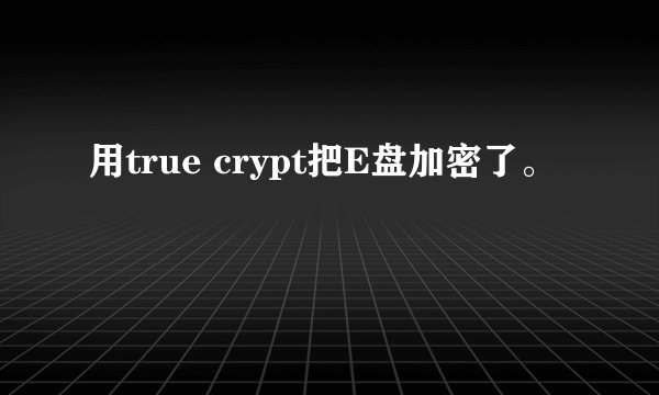 用true crypt把E盘加密了。