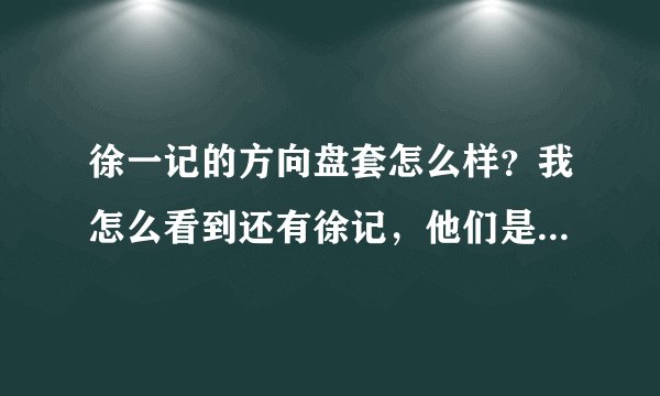 徐一记的方向盘套怎么样？我怎么看到还有徐记，他们是一个公司吗？