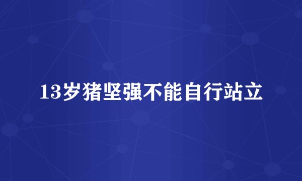 13岁猪坚强不能自行站立