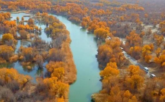 塔里木河胡杨林美如画 网友：简直是人间天堂