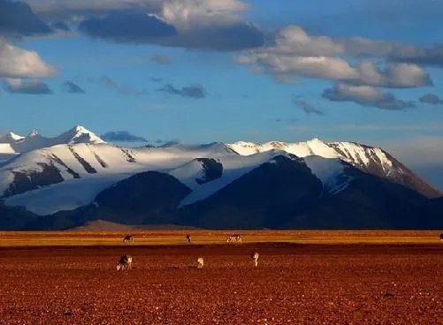 中国四大无人区的西藏羌塘