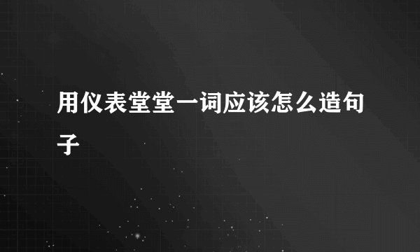 用仪表堂堂一词应该怎么造句子