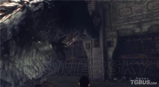 《最后的守护者》图文攻略 全章节图文流程攻略