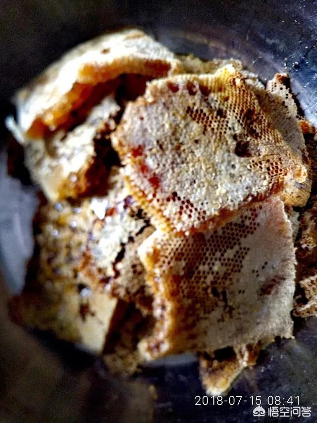 农村人自己养的蜂蜜怎么样？贵吗？