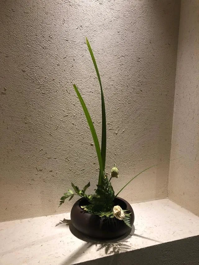 2019年只剩最后一天了，一起来说说你2020年的愿望是什么？