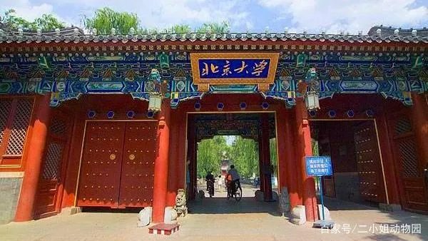 王永强事件最新进展