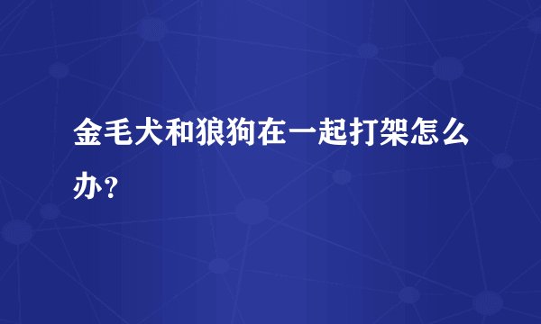 金毛犬和狼狗在一起打架怎么办？
