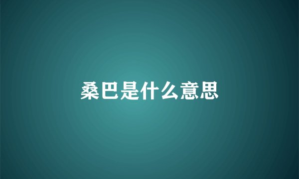 桑巴是什么意思