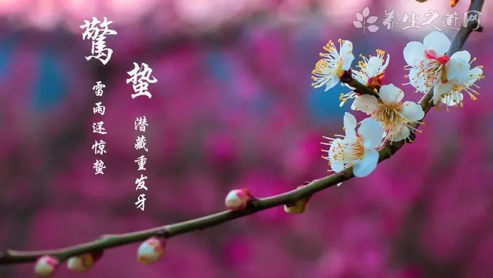 春季养生小常识