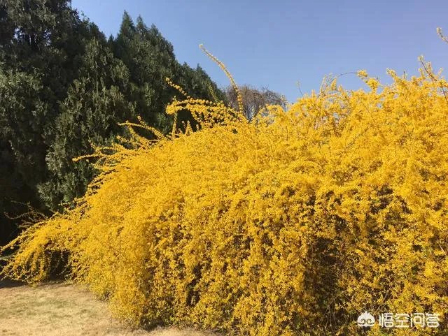 世界上生育率最低的国家韩国，人们平均年薪上百万，为何不愿生孩子？