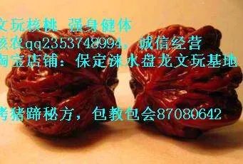 成均馆绯闻是一部关于什么的电视