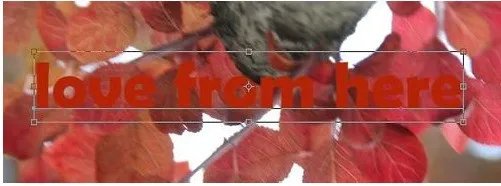 怎么样制作一张有背景的文字图片?