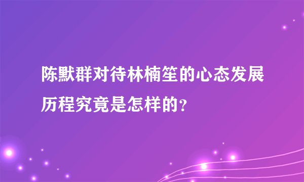 陈默群对待林楠笙的心态发展历程究竟是怎样的？