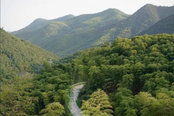 湖州旅游景点都有哪些值得推荐？