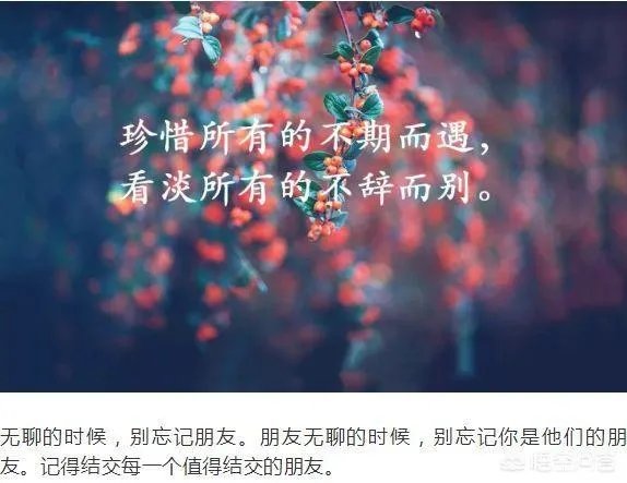 你有哪些喜欢的句子想要分享吗？