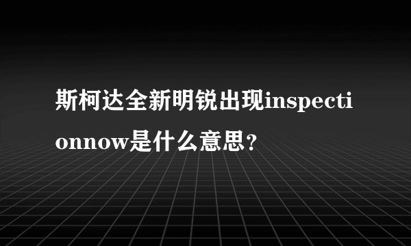 斯柯达全新明锐出现inspectionnow是什么意思？
