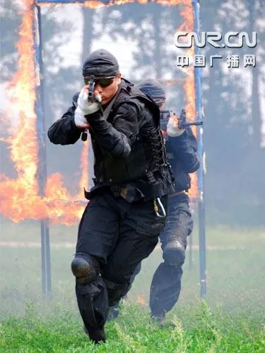 虎豹突击队的介绍