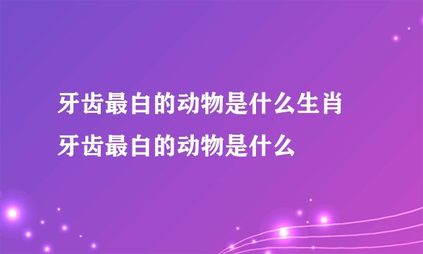 牙齿最白的动物是什么生肖 牙齿最白的动物是什么