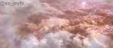 《三生三世十里桃花》电影怎么样？