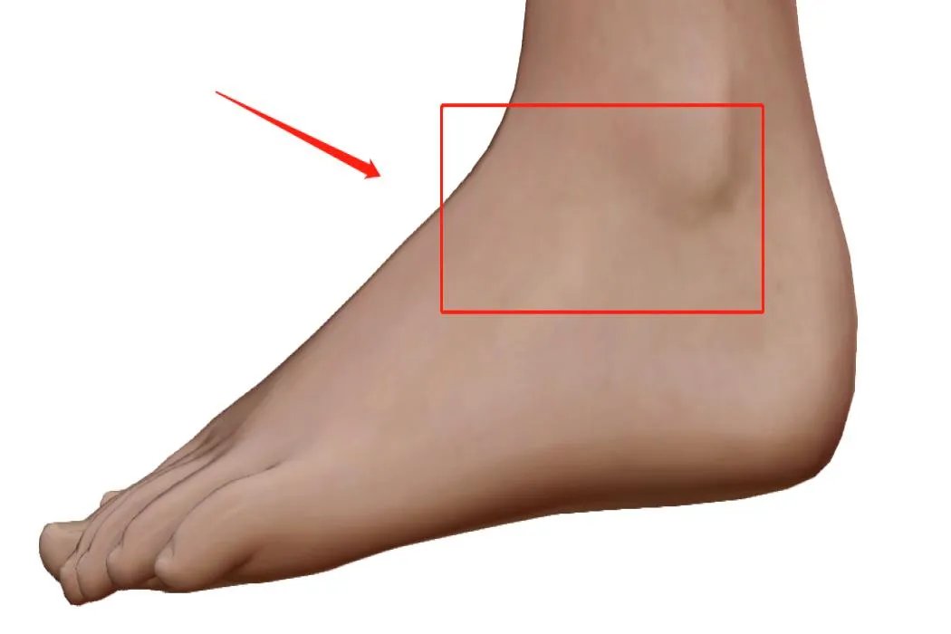 裸骨是哪个位置图片