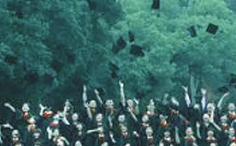 学历证书编号是毕业证书编号吗