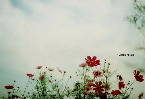 求好看 唯美的桌面壁纸