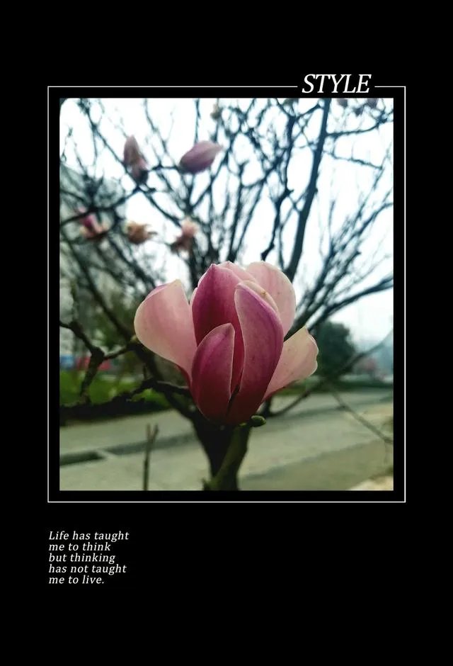 如何成为一个卓越杰出的人才?