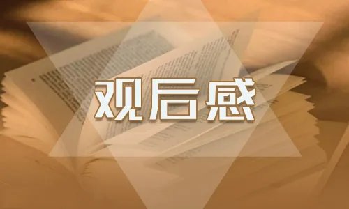小学生观看从小学先锋长大做先锋直播观后感作文【5篇】