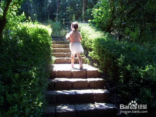 浙江桃花岛有什么好玩的