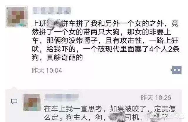 女子投诉滴滴拼车遇两大狗一路狂吠，如女子被咬伤谁应该负责？