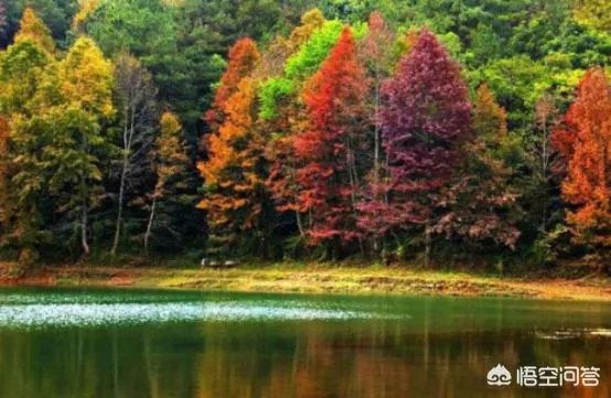 贵阳有哪些旅游景点？