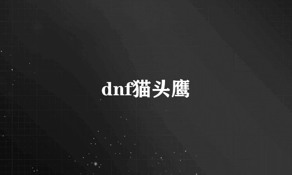 dnf猫头鹰
