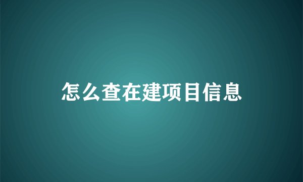 怎么查在建项目信息