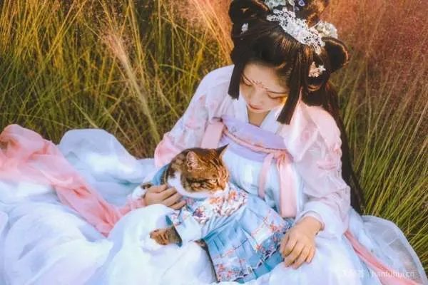 湖南女子给猫咪做汉服,最高一个月挣7万,你如何看待这件事?