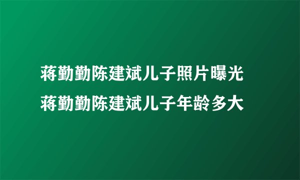 蒋勤勤陈建斌儿子照片曝光 蒋勤勤陈建斌儿子年龄多大