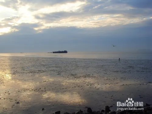 浙江桃花岛有什么好玩的