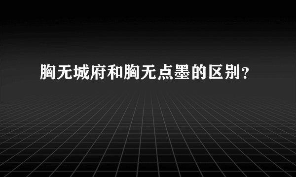 胸无城府和胸无点墨的区别？