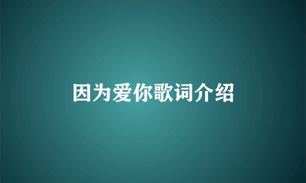 因为爱你歌词介绍